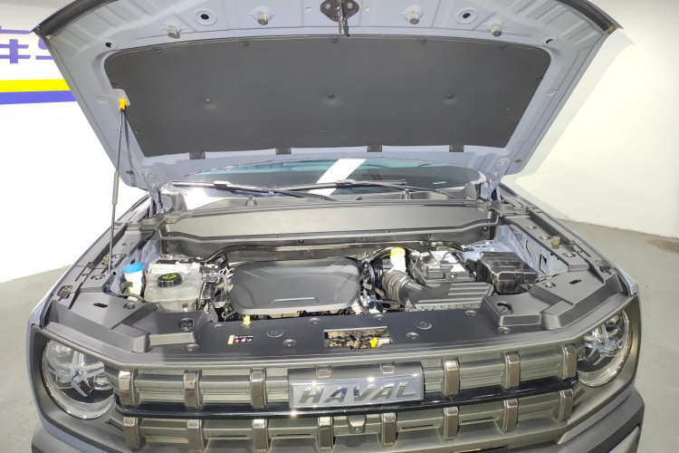 Haval Dargo 2023 car image #16