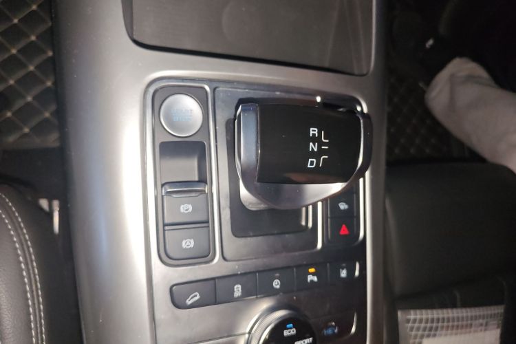 Denza X 2021 изображение автомобиля #16