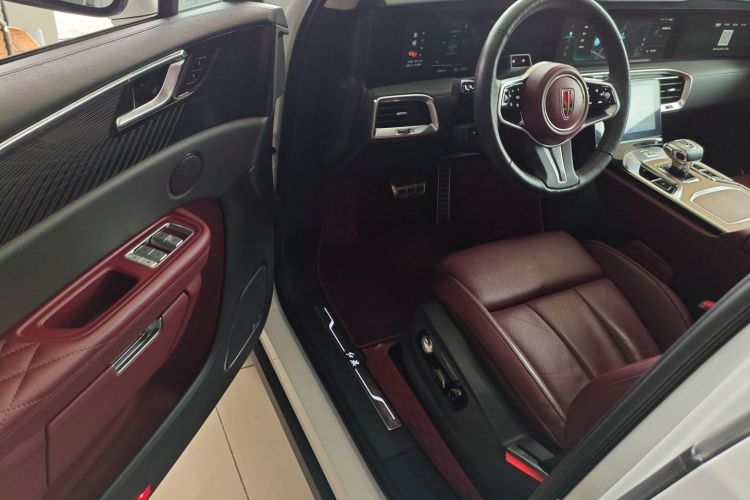 HongQi E-HS9 2021 immagine di auto #16