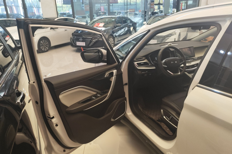 GEELY JiaJi 2021 car image #16