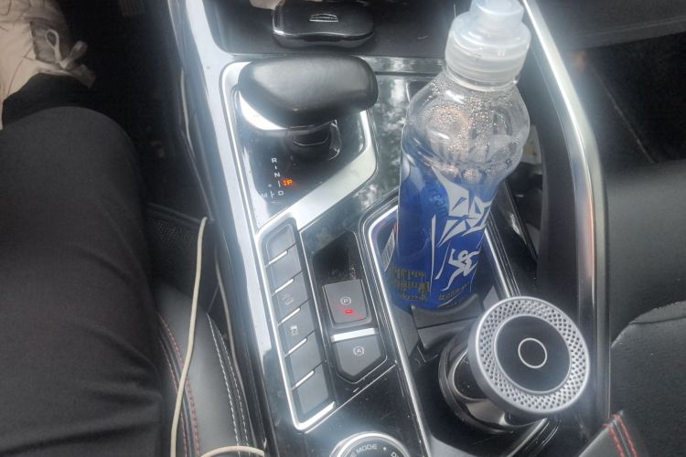 GEELY Tugella S 2021 car image #16