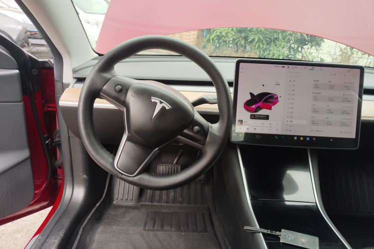 特斯拉 Model 3(进口) 2019 汽车图片 #16