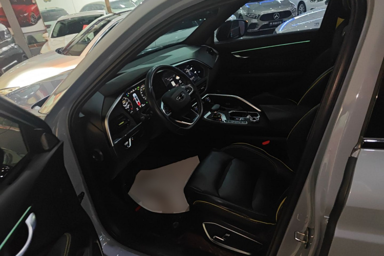 GEELY Tugella S 2022 immagine di auto #16