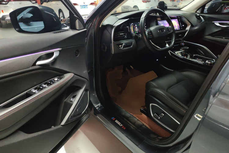 GEELY Tugella S 2021 immagine di auto #16