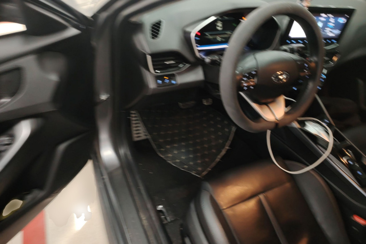 Hyundai Lafesta EV 2020 car image #16