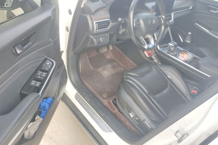 HongQi E-HS3 2020 car image #16