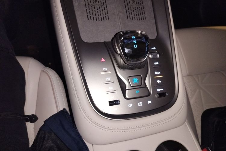 Denza N8 2023 #16 Denza N8 2023 car image #16