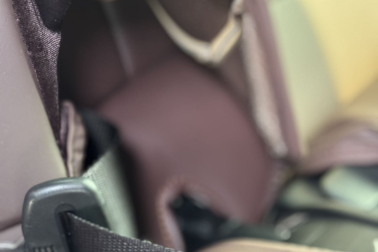 Toyota 2019 image de voiture #16