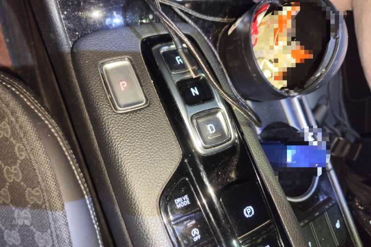 Hyundai Santa Fe 2021 car image #16