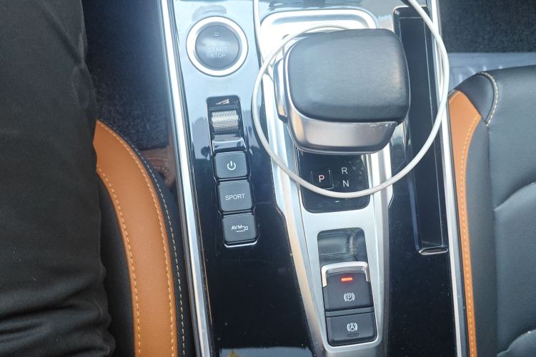 Showjet Pro 2021 imagen de coche #16