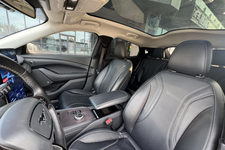 Ford Mustang Mach-E 2023 #16 Ford Mustang Mach-E 2023 car image #16