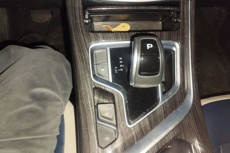 睿蓝汽车 枫叶80v PRO 2023 汽车图片 #16