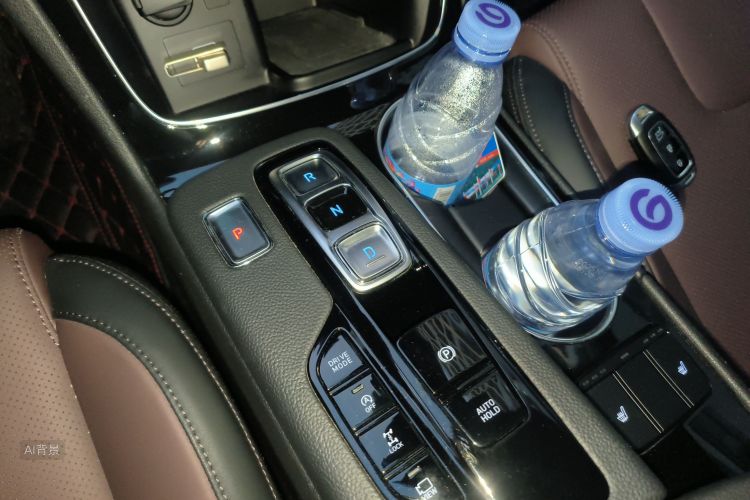 Hyundai Santa Fe 2019 car image #16