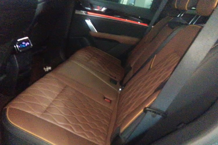 BYD Tang New Energy 2021 immagine di auto #16