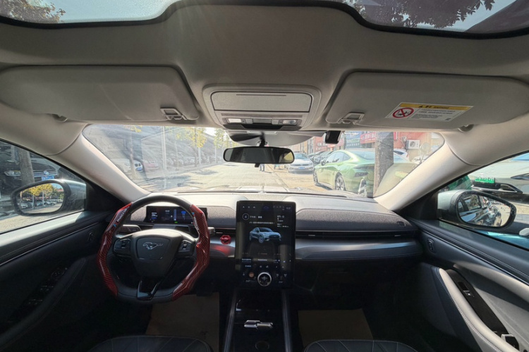 Ford Mustang Mach-E 2023 car image #16