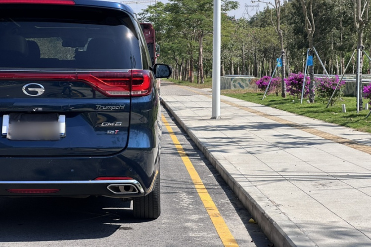 GAC Trumpchi M8 2019 car image #16