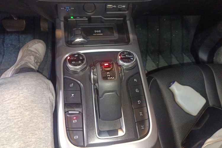 Tank 300 2022 car image #16