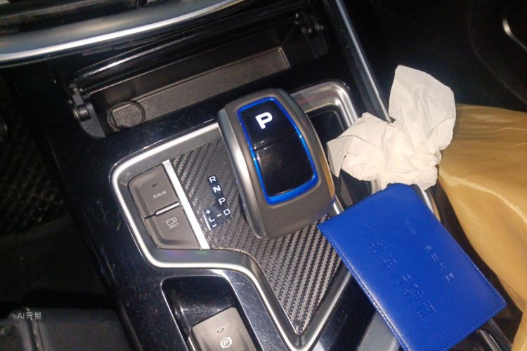 GEELY JiaJi New Energy 2019 car image #16