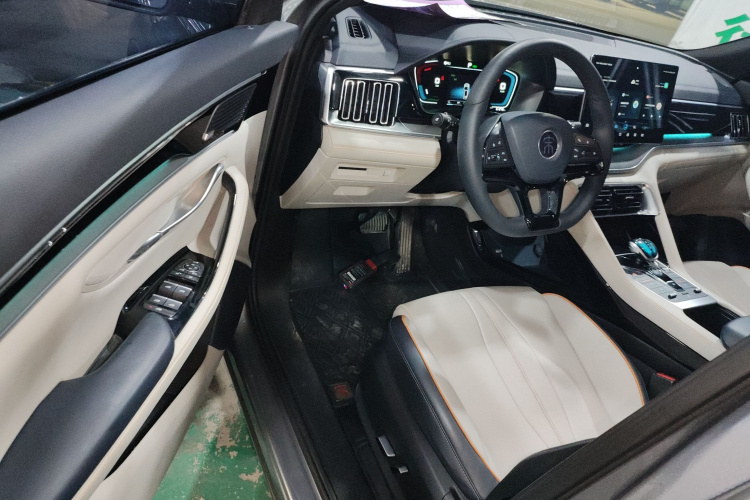 BYD Song Plus New Energy 2021 immagine di auto #16