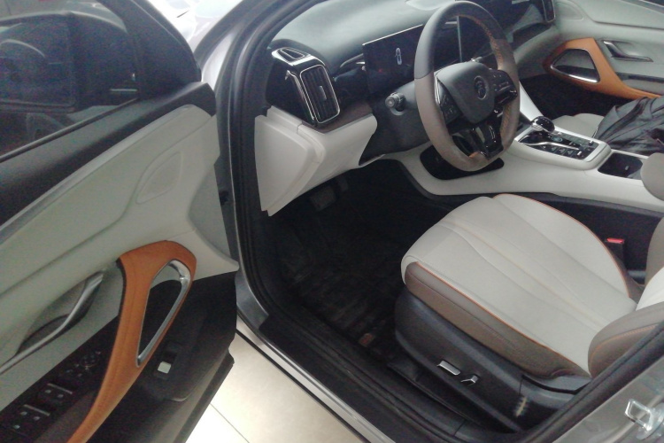 BYD Song Pro New Energy 2022 car image #16