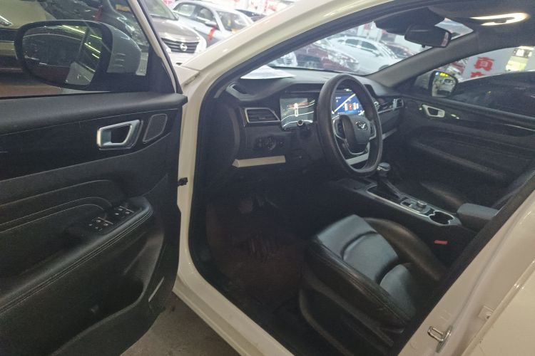 Showjet 2020 image de voiture #16