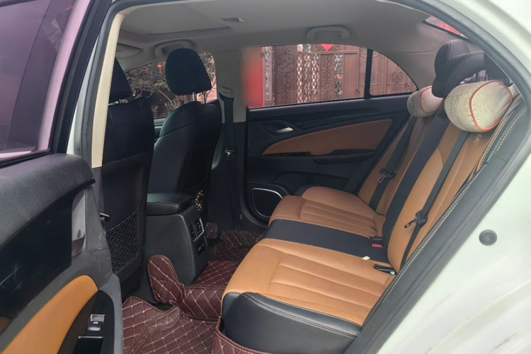 BYD Qin New Energy 2018 car image #16