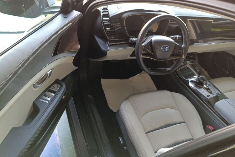 BYD e9 2021 car image #16