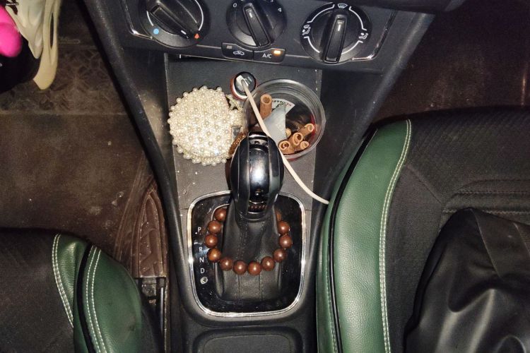 Polo 2016 car image #16