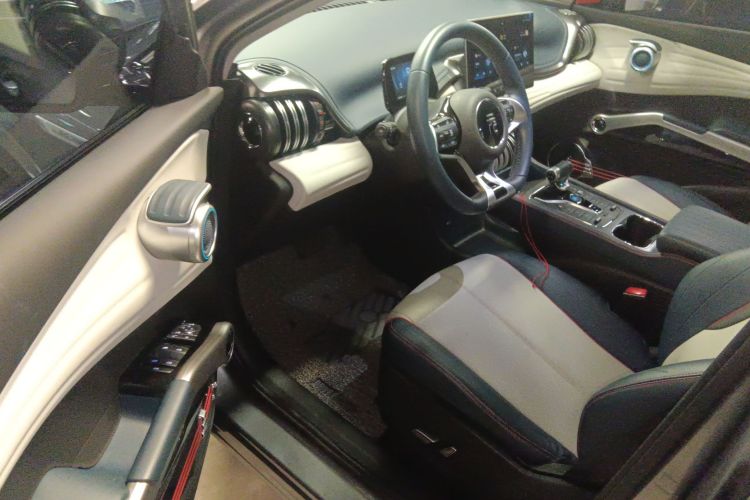 BYD Yuan Plus 2022 car image #16
