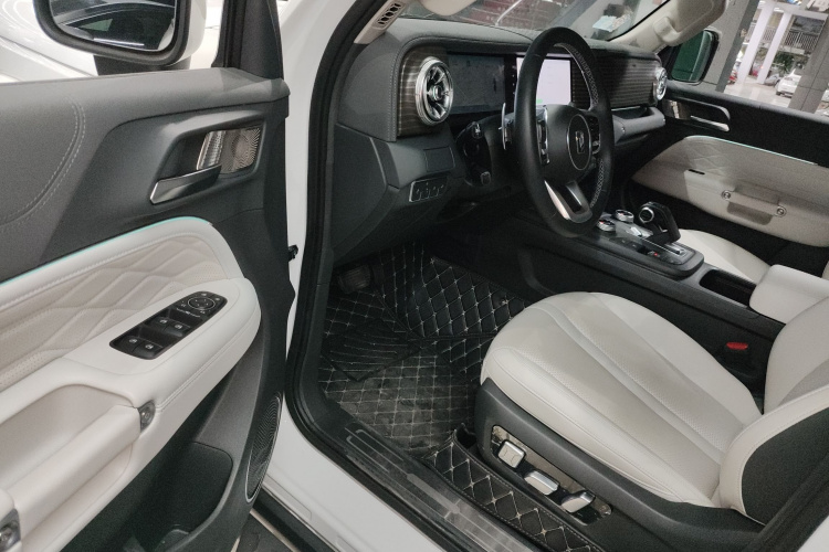 Tank 300 New Energy 2024 car image #16