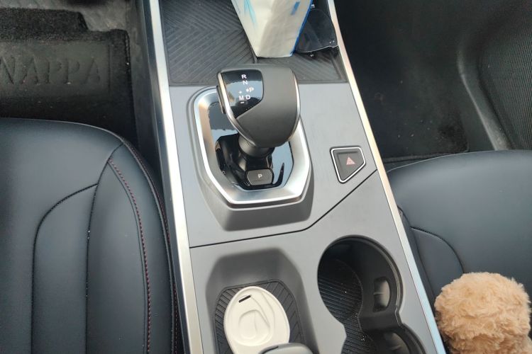 Dashing 2024 car image #16