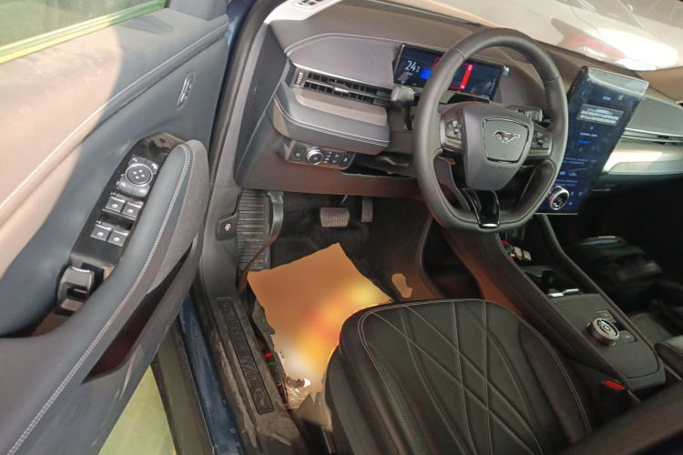 Ford Mustang Mach-E 2023 car image #16