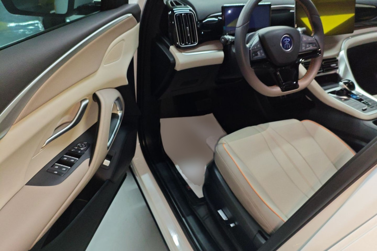 BYD Song Pro New Energy 2024 car image #16