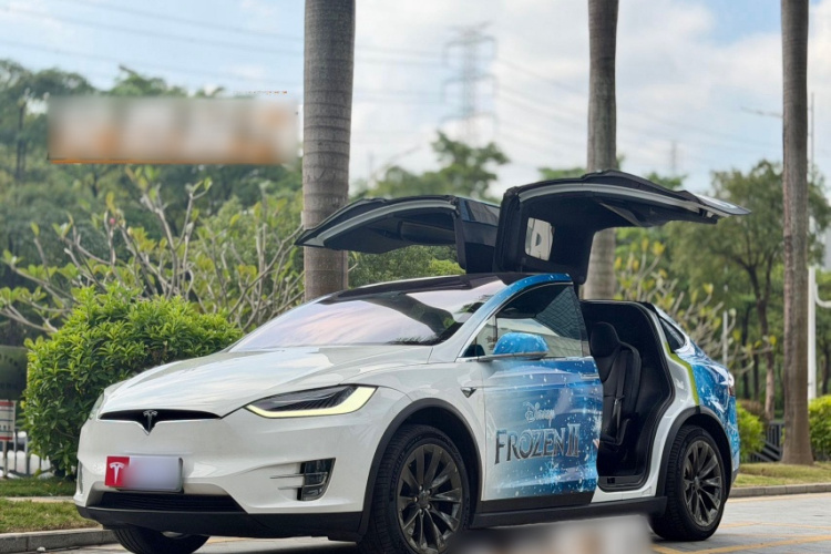 Tesla Model X 2019 immagine di auto #16