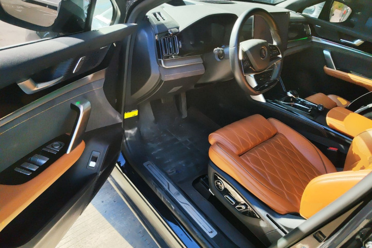 BYD Tang New Energy 2023 car image #16