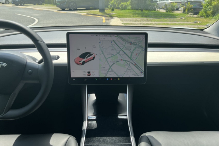 Tesla Model 3 2020 car image #16