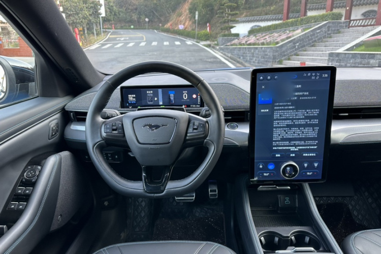 Ford Mustang Mach-E 2022 car image #16