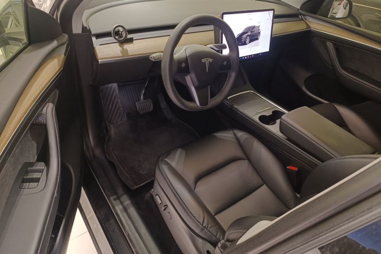 Tesla Model Y 2022 car image #16