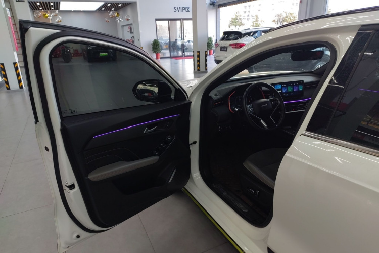 Haval Rabbit 2021 #16 Haval Rabbit 2021 car image #16