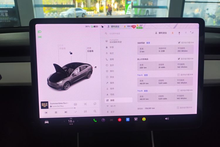 特斯拉 Model 3(进口) 2019 汽车图片 #16