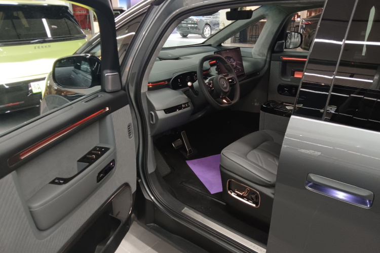 极氪 极氪MIX 2024 汽车图片 #16