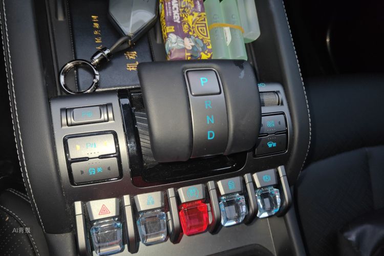 FangChengBao Tiger 3 2025 car image #16