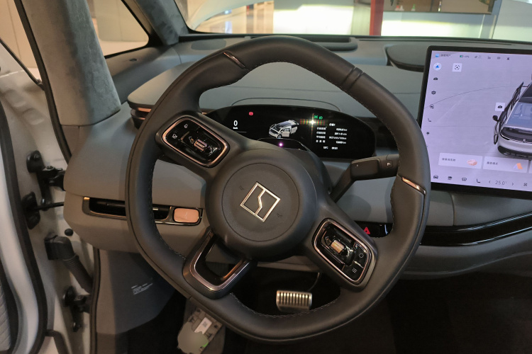 极氪 极氪MIX 2024 汽车图片 #16