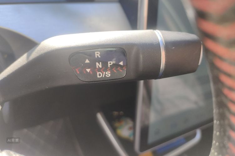 Neta V 2022 imagen de coche #16