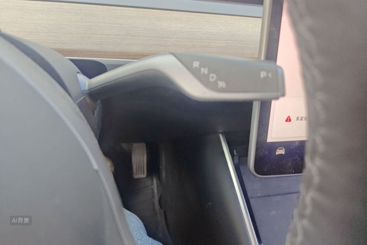 特斯拉 Model 3 2020 汽车图片 #16