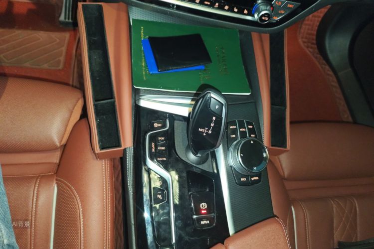 BMW 5 Series New Energy 2021 car image #16