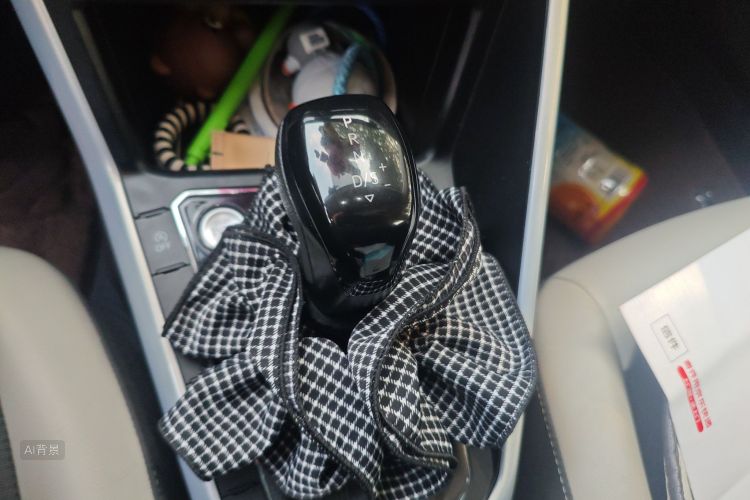 大众 Polo 2021 汽车图片 #16