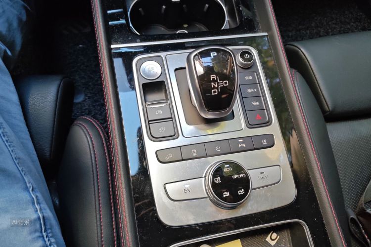 BYD Tang New Energy 2019 car image #16