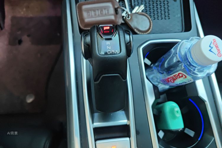 Tank 400 New Energy 2024 car image #16