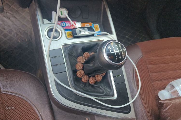 Forthing JOYEAR X5 2017 car image #16